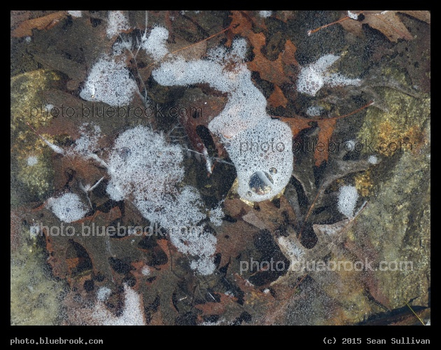 Under Ice - Frozen puddle at the top of a rocky outcrop in the Middlesex Fells Reservation, Melrose MA