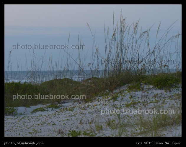 Cocoa Beach Dunes - Before sunrise, Cocoa Beach FL