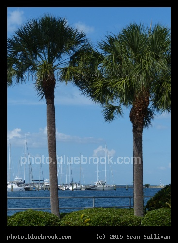 Tampa Bay Waterfront - St Petersburg, FL