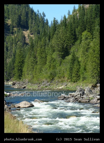 Flowing Waters, Wooded Slopes - Lochsa River, Clearwater National Forest, Idaho