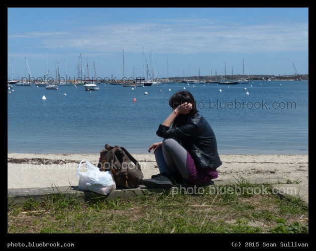 Traveller by the Beach - Vineyard Haven, MA