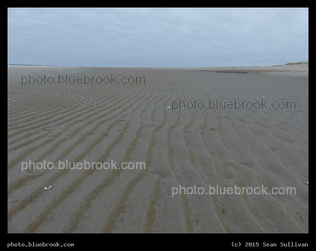 Lines in the Sand - Crane Beach, Ipswich MA
