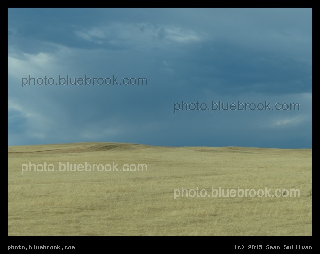 Yellow Grasslands under Clouds - Near Three Forks, MT