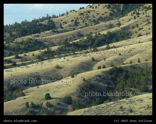 Rolling Landscape - Near Three Forks, MT