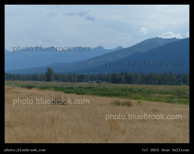Grasses and Mountains - Lee Metcalf National Wildlife Refuge, Stevensville MT