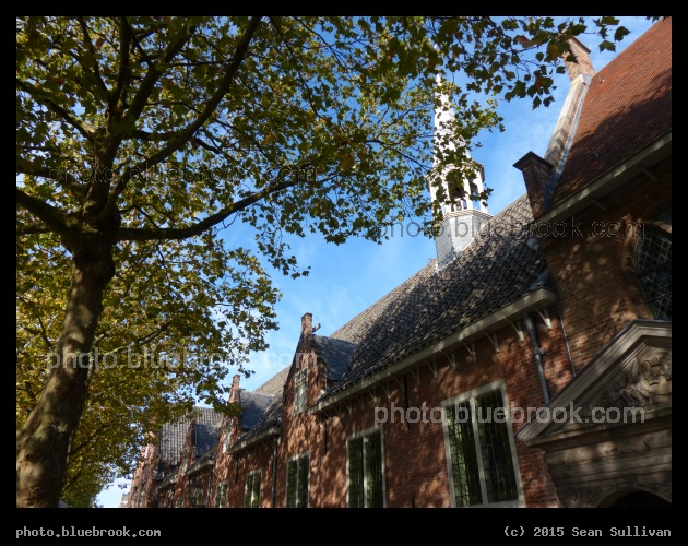 Autumn in the Netherlands - Leiden, Netherlands