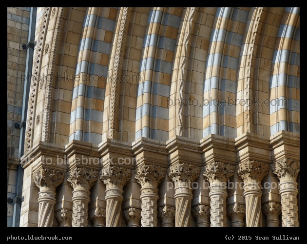 Columns and Arches - Natural History museum, London England