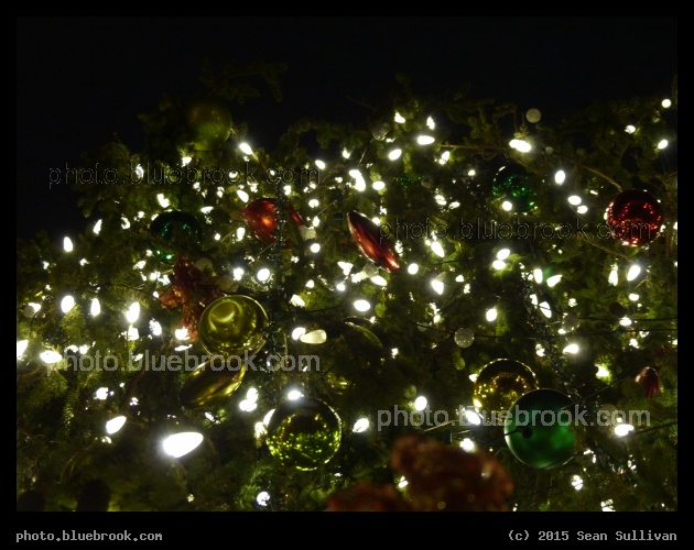 Quincy Market Tree - Christmas tree at Quincy Market, Boston MA