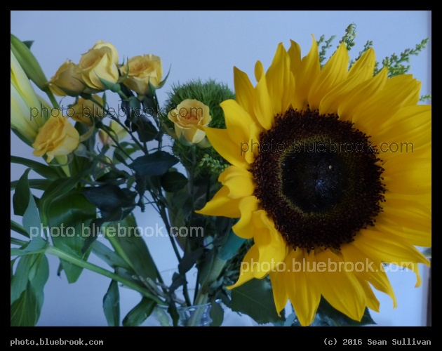 Sunflower Bouquet - Somerville MA
