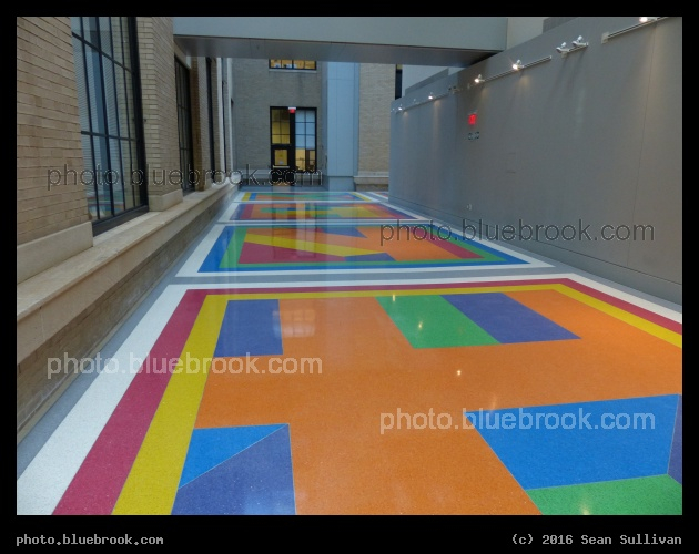 Bright Floor - MIT, Cambridge MA