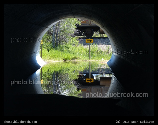 Flooded Underpass - Florence MT