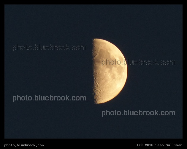 Half Moon - Corvallis MT