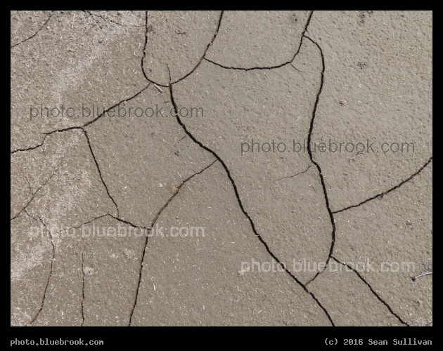 Lines of Cracks - Corvallis MT
