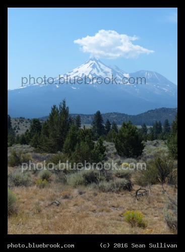 Shasta Backdrop - Mt Shasta, northern California