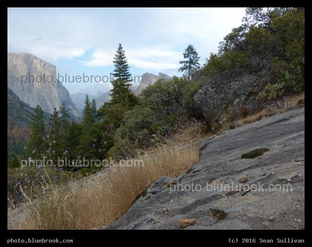 Scenery at Tunnel View - Yosemite