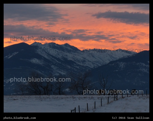 Western Sunset - Corvallis MT