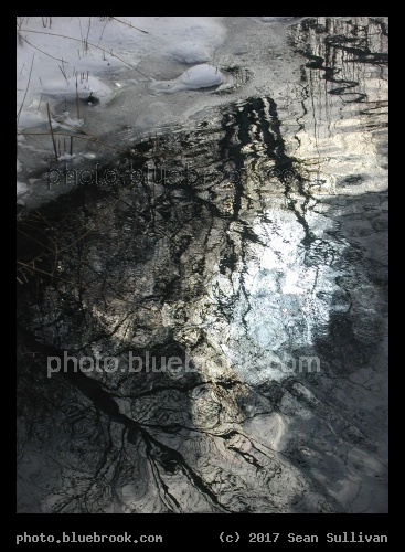 Winter Reflections - Muddy River, Brookline MA