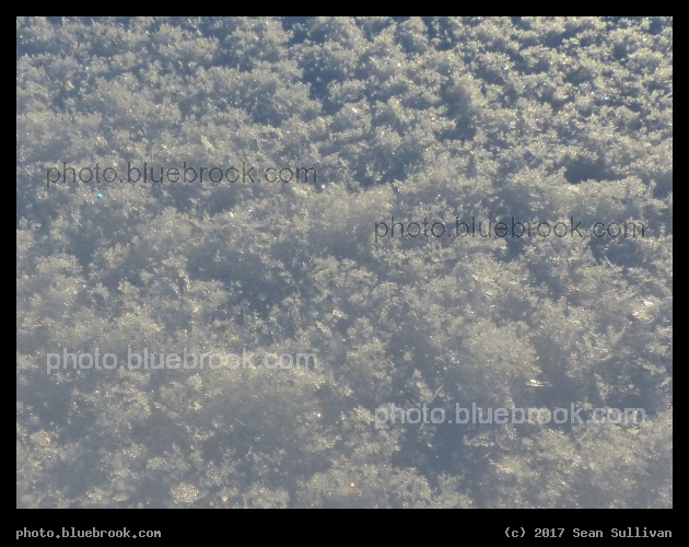 Fluffy Snow - Corvallis, MT