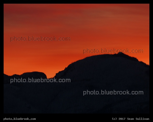 Orange Sunset Glow - Corvallis MT