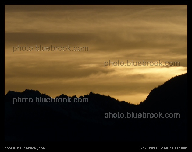 Golden Sunset - Corvallis MT
