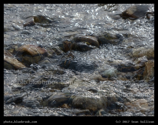 Rocks in the Creek - Corvallis MT