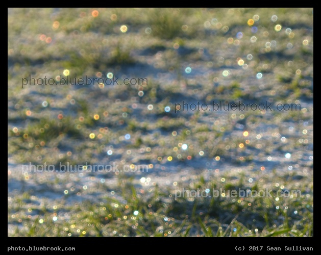 Sparkles at Dawn - Sunlight through ice in the grass at sunrise, Corvallis MT
