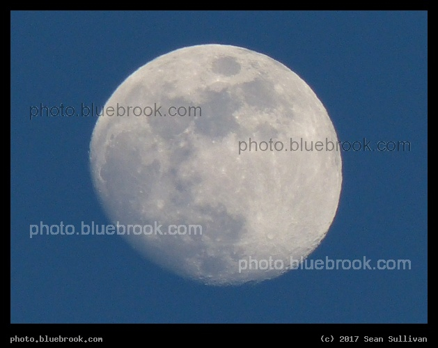 Gibbous Moon - Corvallis MT