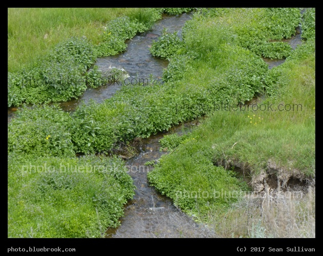 Maze of Waterways - Corvallis MT