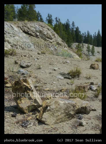 Rocks and Trees - Calvert Hill, Beaverhead National Forest, Montana