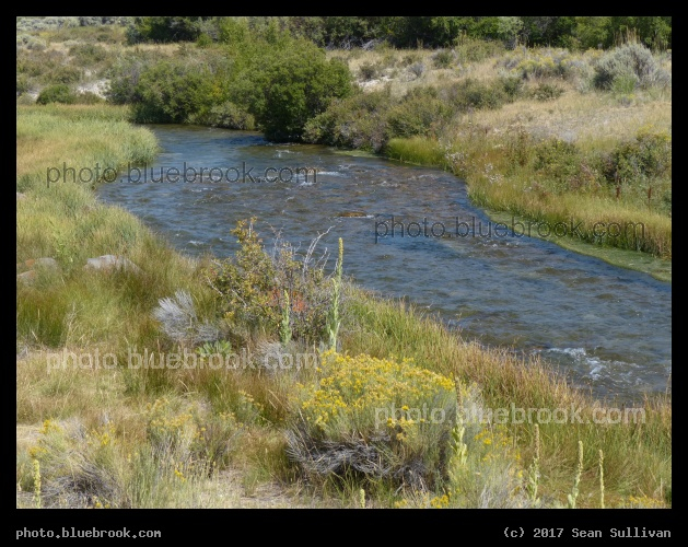 Birch Creek of Idaho - Birch Creek, near Lone Pine ID