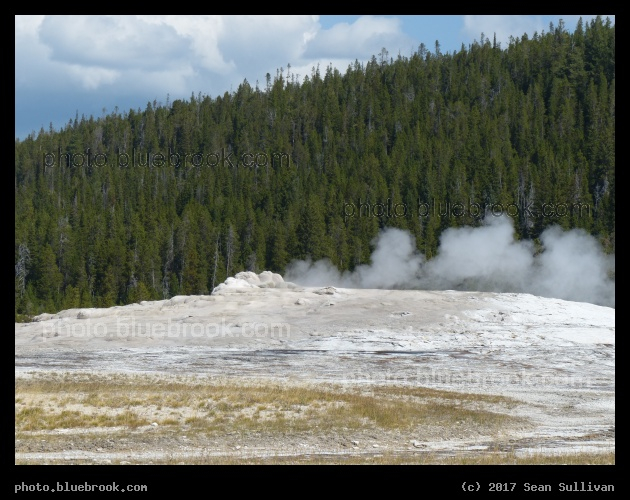 Steam at Old Faithful - Old Faithful, Yellowstone National Park
