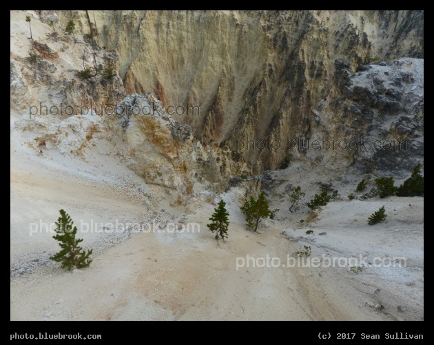 The View Down - Grand Canyon of the Yellowstone, Yellowstone National Park