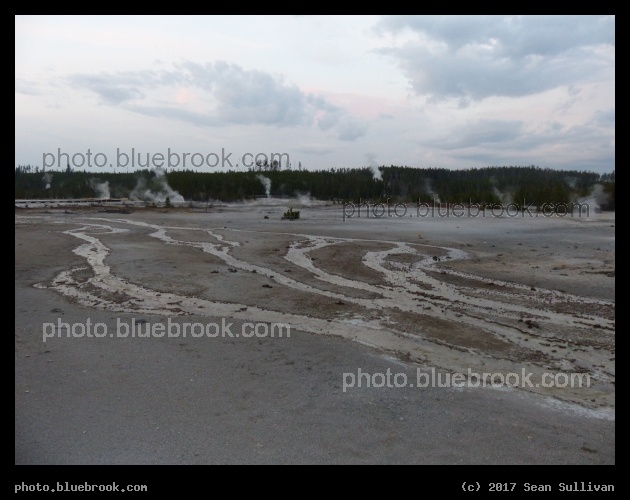 Forks in a Basin - Norris Geyser Basin, Yellowstone National Park