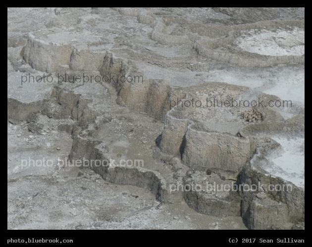 Gray Terraces - Mammoth Hot Springs Terraces, Yellowstone National Park