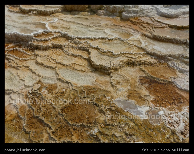 Terrace Cups - Mammoth Hot Springs Terraces, Yellowstone National Park