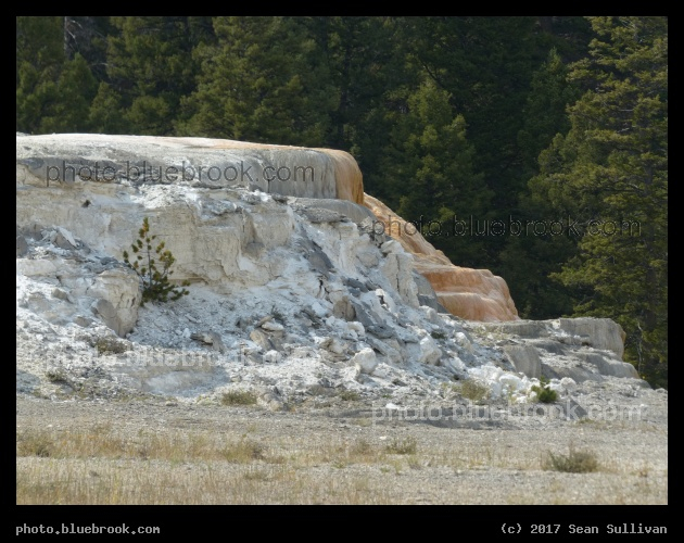 Land of Minerals - Mammoth Hot Springs, Yellowstone National Park