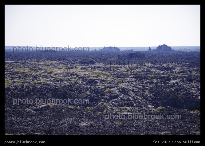 Field of Lava in the Morning - Craters of the Moon National Monument, Idaho
