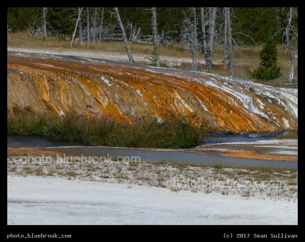 Colors at Cliff Geyser - Black Sand Basin, Yellowstone National Park