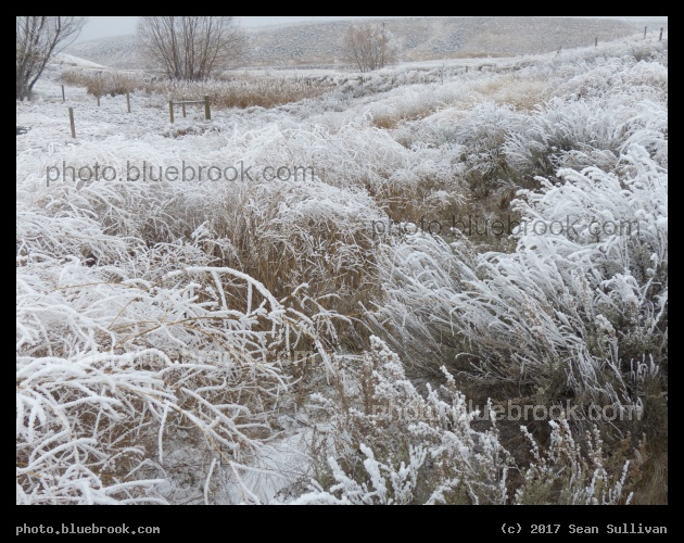 Frosted Landscape - Corvallis MT