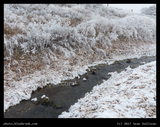 Winter Stream - Corvallis MT