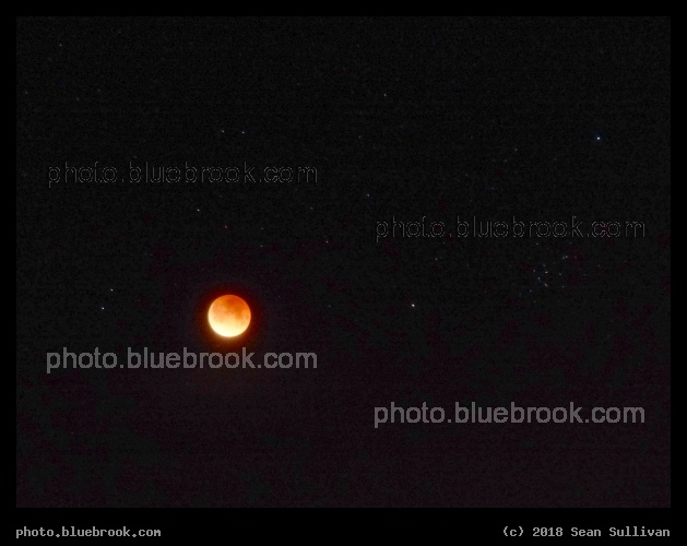 Eclipse near the Beehive - Total lunar eclipse beside the Beehive star cluster, Corvallis MT