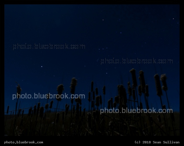 Orion over the Cattails - Corvallis MT