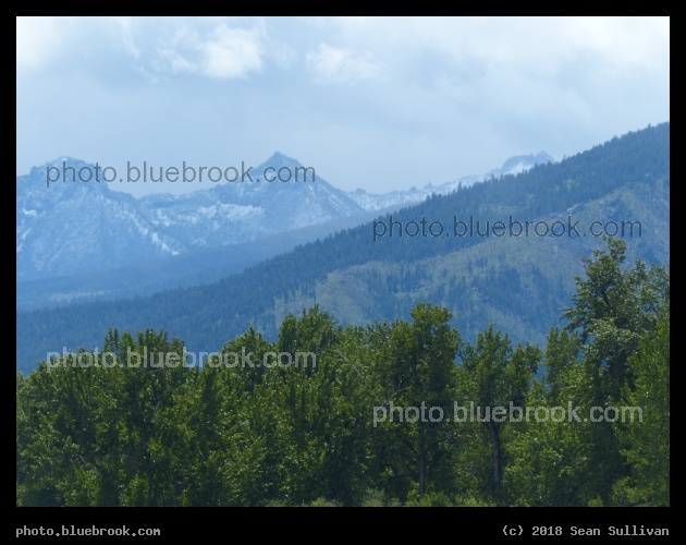 A Pointy Peak over Trees - Stevensville MT
