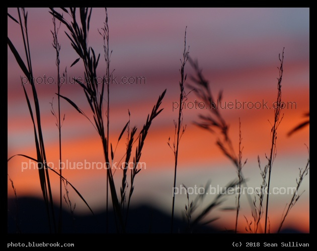 Plaid Sunset - Corvallis MT