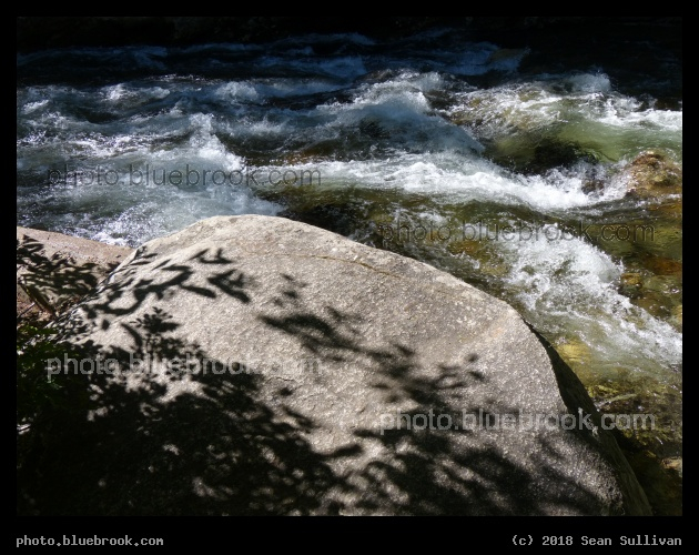Creekside Shadows - Kootenai Creek, Stevensville MT