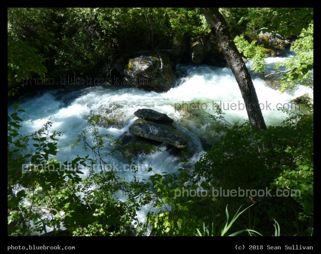 Rushing Water in Summer - Kootenai Creek, Stevensville MT