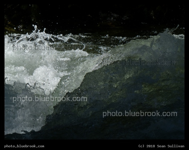 Water in Profile - Kootenai Creek, Stevensville MT