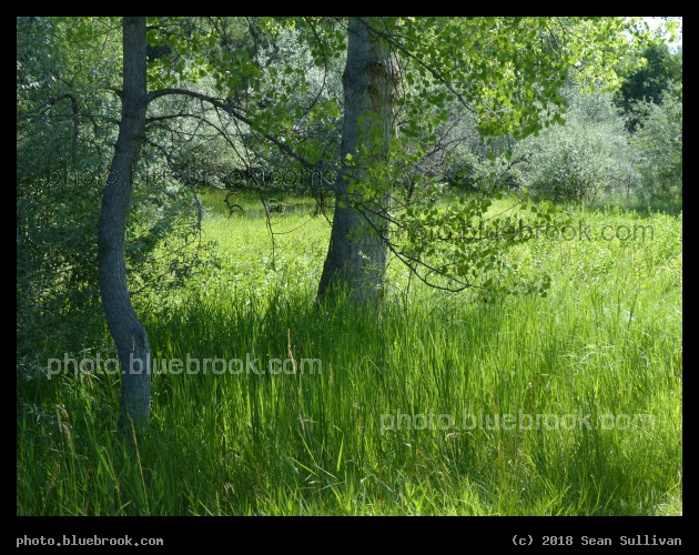 Meadow by Spring Creek - Fort Collins CO