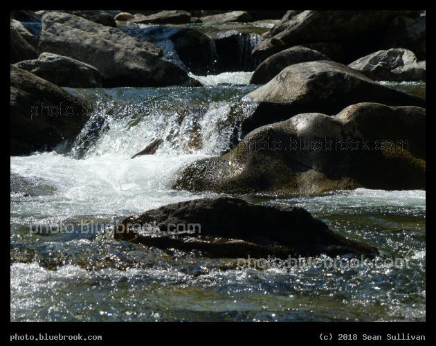 Creek Rounding Rocks - Kootenai Creak, Stevensville MT