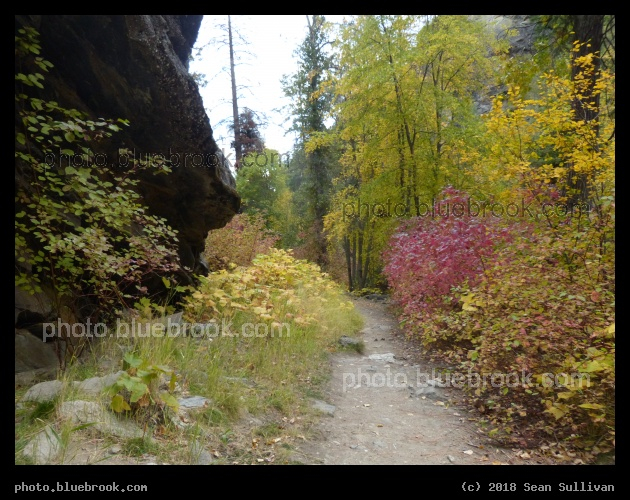 Mountain Path in Autumn - Kootenai Creek Trail, Stevensville MT